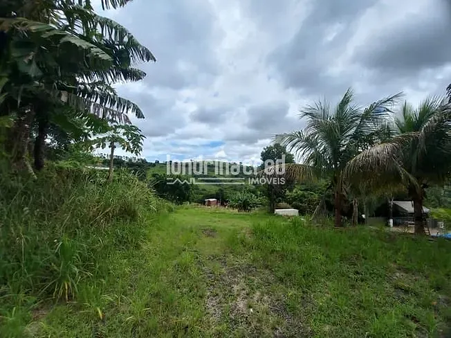 Sítio, 1 quarto, 1000 m² - Foto 4