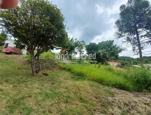 Sítio, 1 quarto, 1000 m² - Foto 10