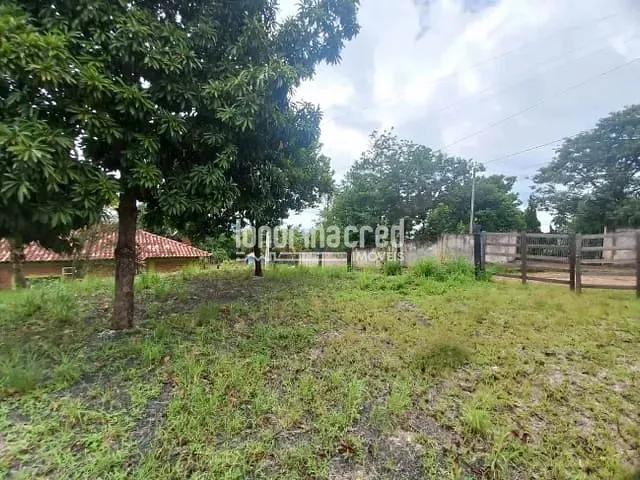 Chácara com 1000m², à venda, no bairro Área Rural de Londrina em Londrina