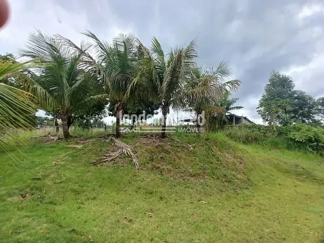Chácara com 1000m², à venda, no bairro Área Rural de Londrina em Londrina