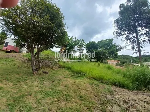 Chácara com 1000m², à venda, no bairro Área Rural de Londrina em Londrina