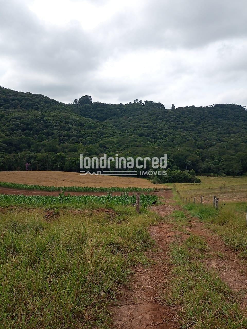 Sítio, 2 quartos, 11 hectares - Foto 5