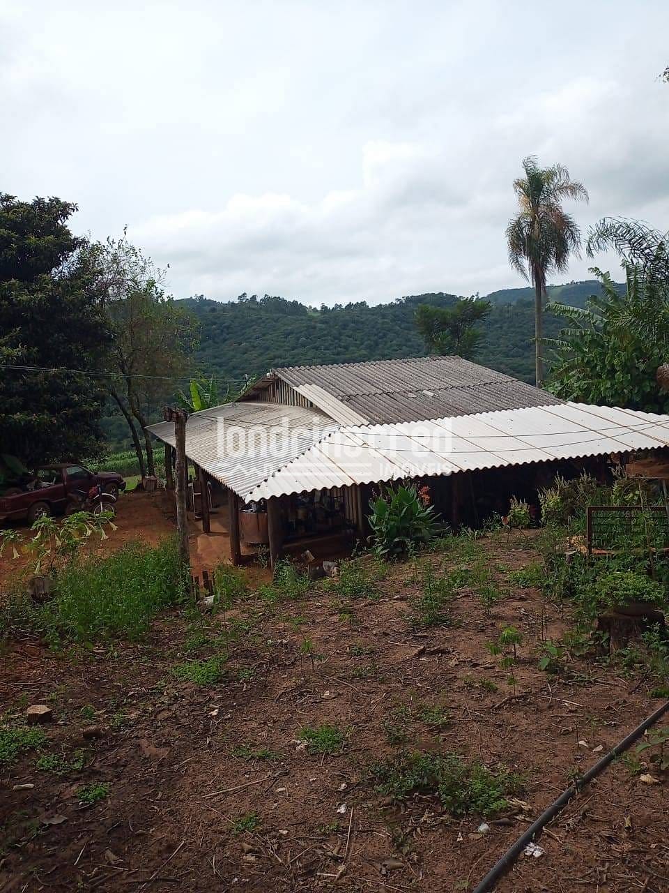 Sítio, 2 quartos, 11 hectares - Foto 1