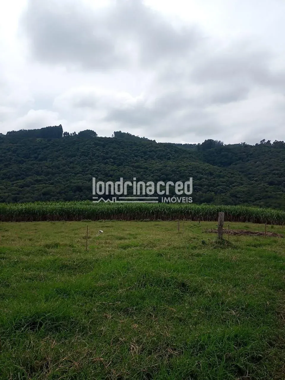 Sítio, 2 quartos, 11 hectares - Foto 14