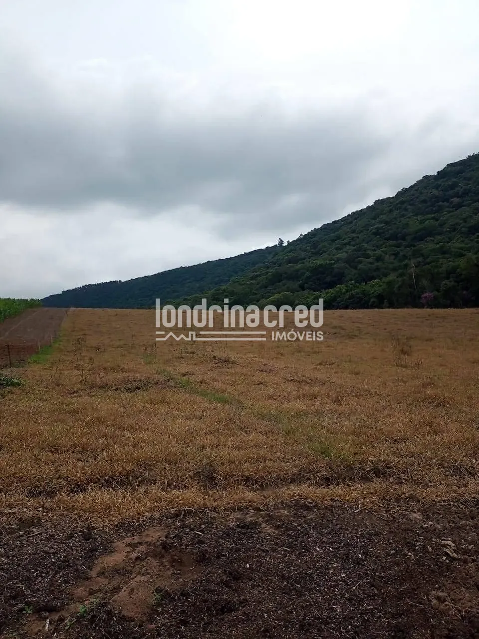 Sítio, 2 quartos, 11 hectares - Foto 8