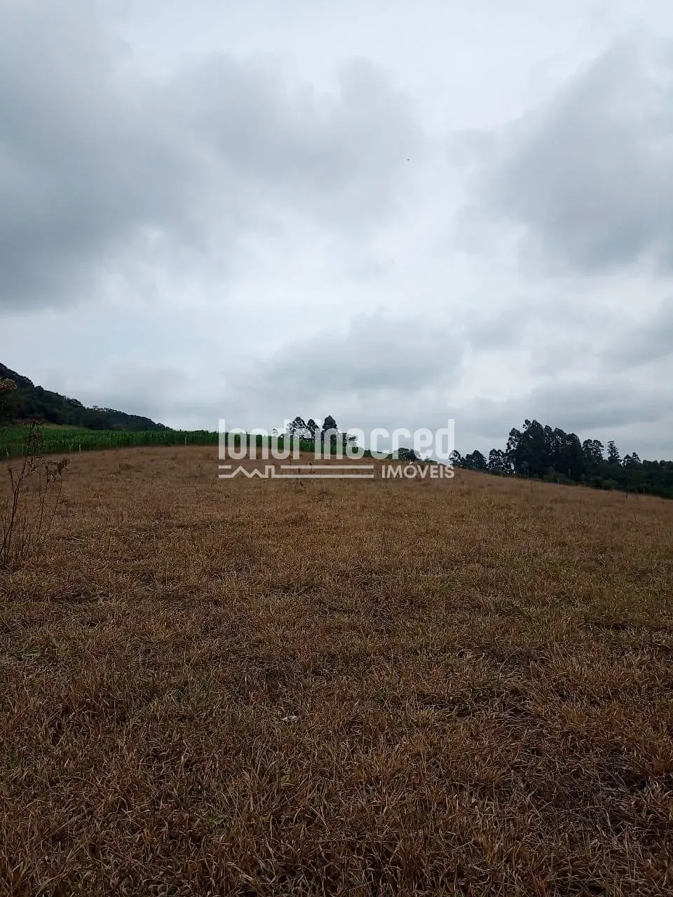 Sítio, 2 quartos, 11 hectares - Foto 10