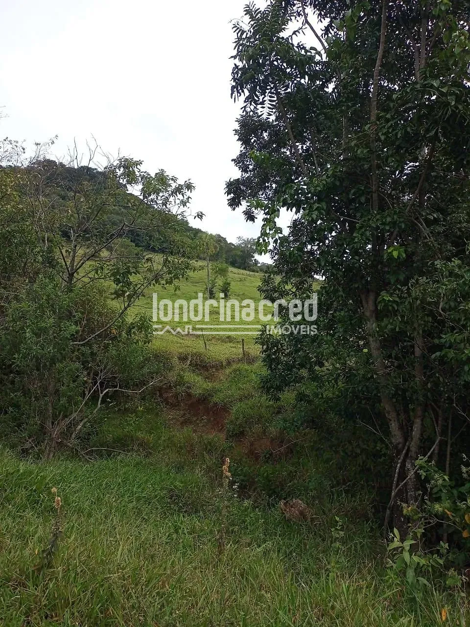 Sítio, 2 quartos, 11 hectares - Foto 12