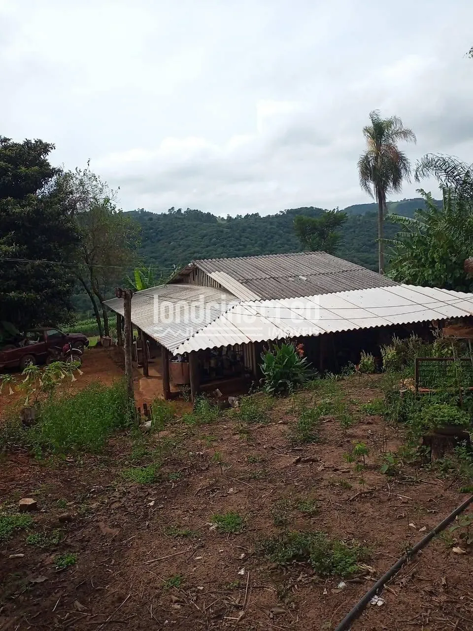 Sítio, 2 quartos, 11 hectares - Foto 4
