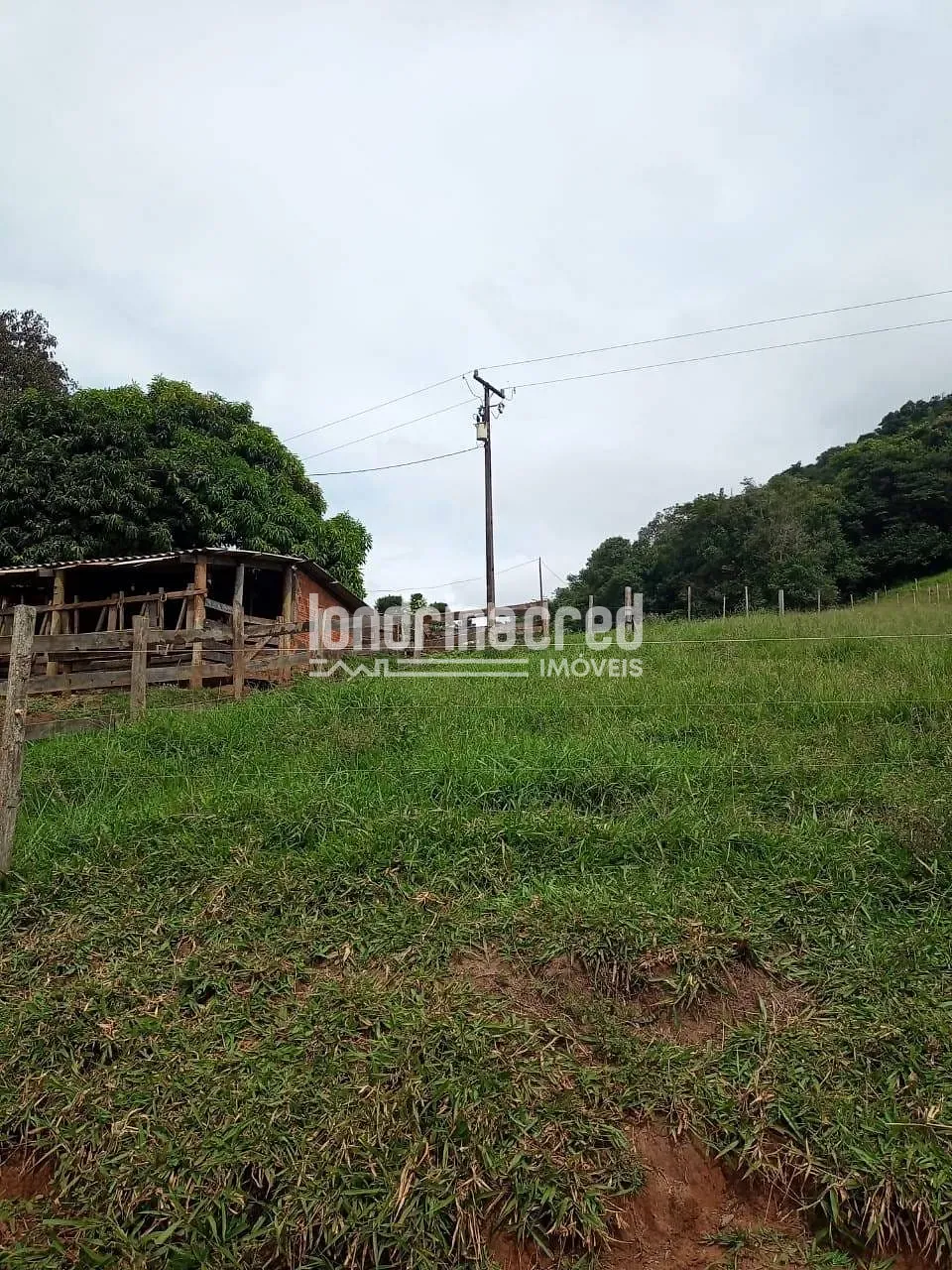 Sítio, 2 quartos, 11 hectares - Foto 16