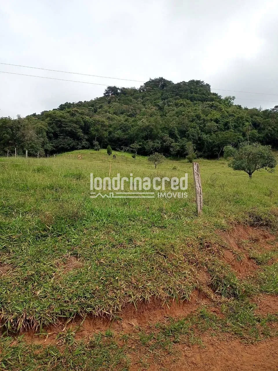 Sítio, 2 quartos, 11 hectares - Foto 17