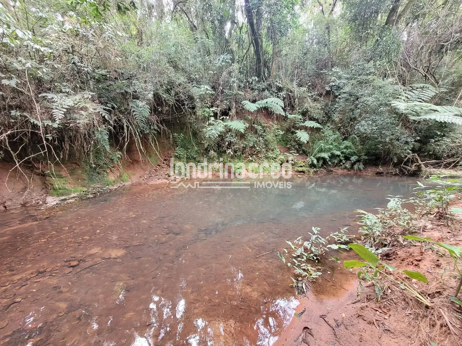 Sítio, 2 quartos, 11 hectares - Foto 25