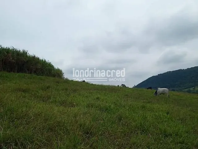 Chácara com 106000m² 2 quartos e 1 banheiro, à venda, no bairro Gleba 01 em Tamarana