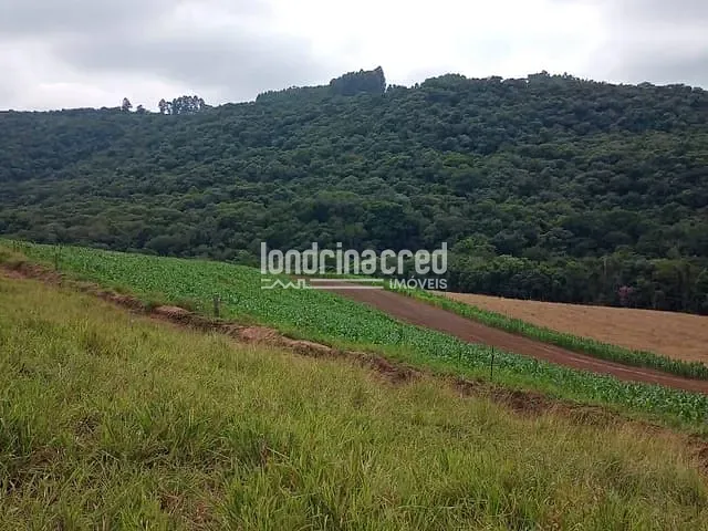 Chácara com 106000m² 2 quartos e 1 banheiro, à venda, no bairro Gleba 01 em Tamarana