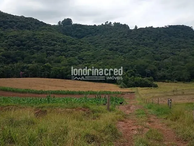 Chácara com 106000m² 2 quartos e 1 banheiro, à venda, no bairro Gleba 01 em Tamarana