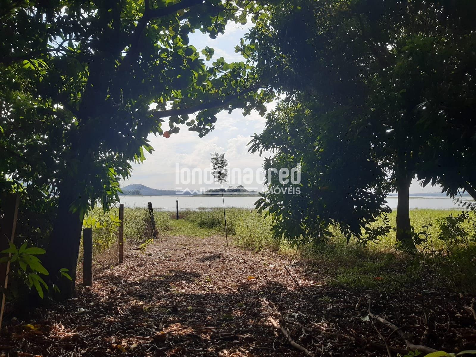 Sítio, 3 quartos, 2260 m² - Foto 1