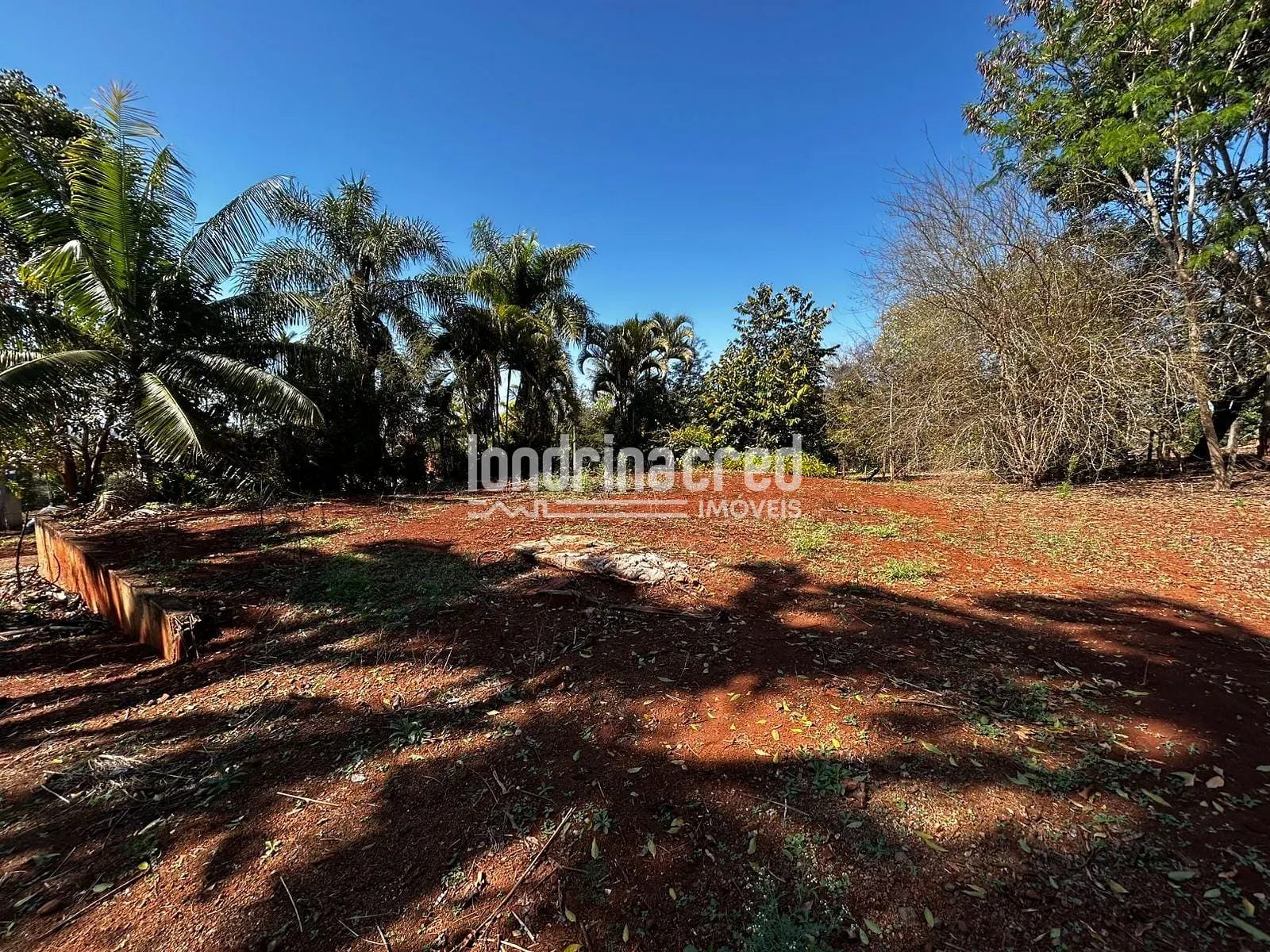 Sítio, 1 quarto, 2 hectares - Foto 3