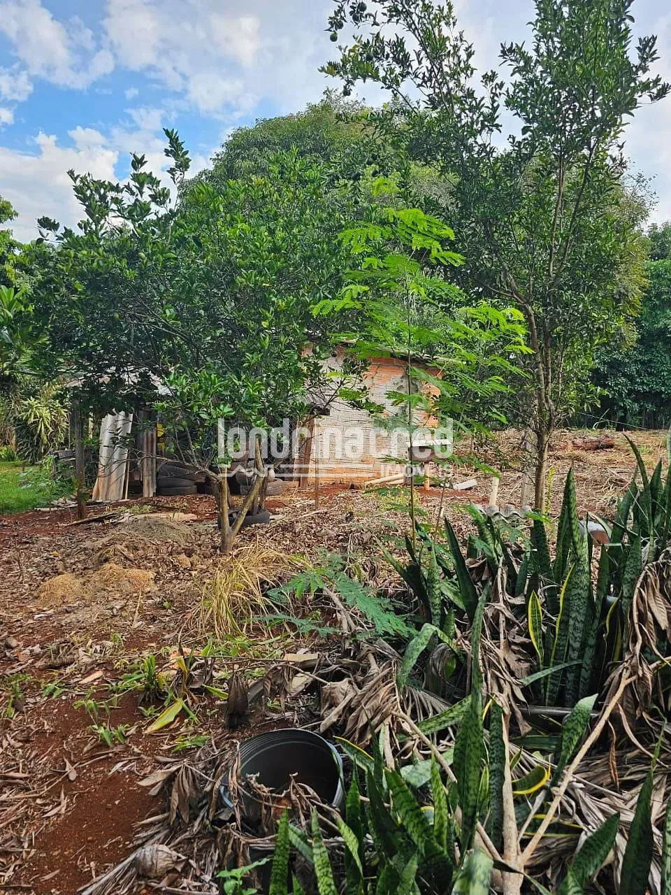 Sítio, 1 quarto, 2 hectares - Foto 32