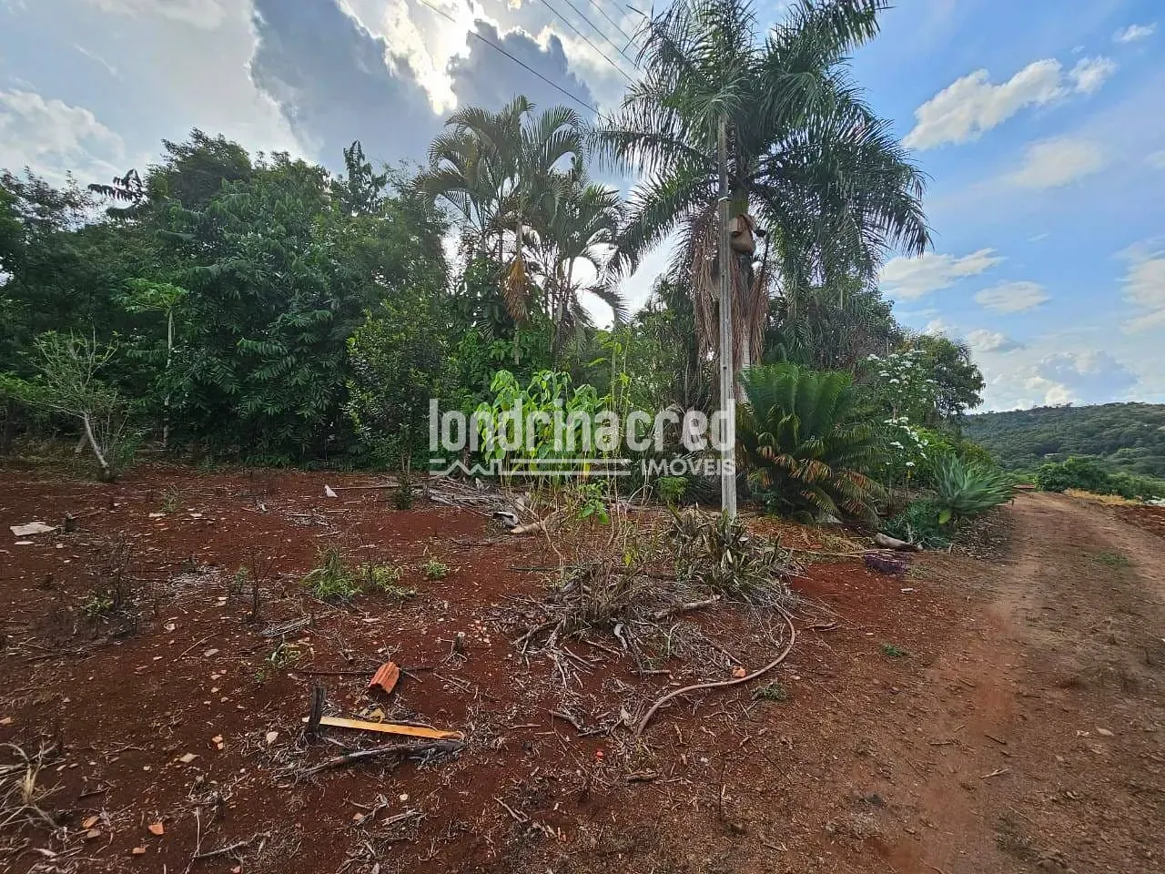 Sítio, 1 quarto, 2 hectares - Foto 34