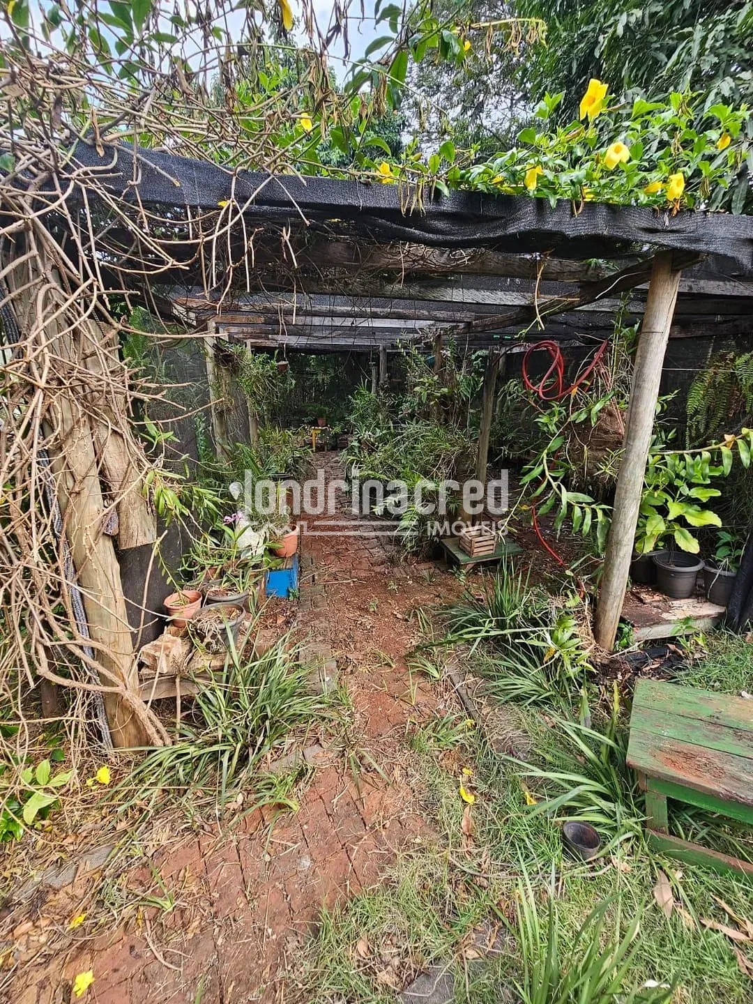 Sítio, 1 quarto, 2 hectares - Foto 36