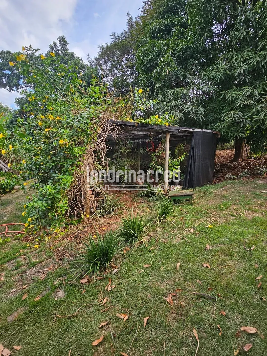 Sítio, 1 quarto, 2 hectares - Foto 40