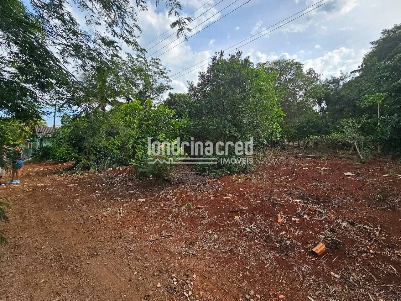 Sítio, 1 quarto, 2 hectares - Foto 41