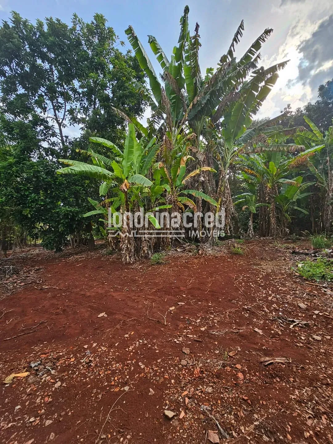 Sítio, 1 quarto, 2 hectares - Foto 46