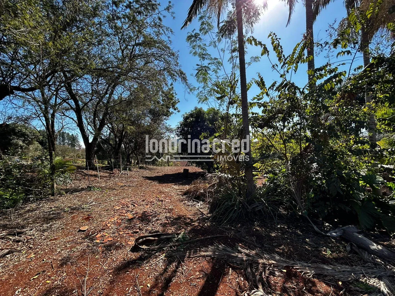 Sítio, 1 quarto, 10000 m² - Foto 2