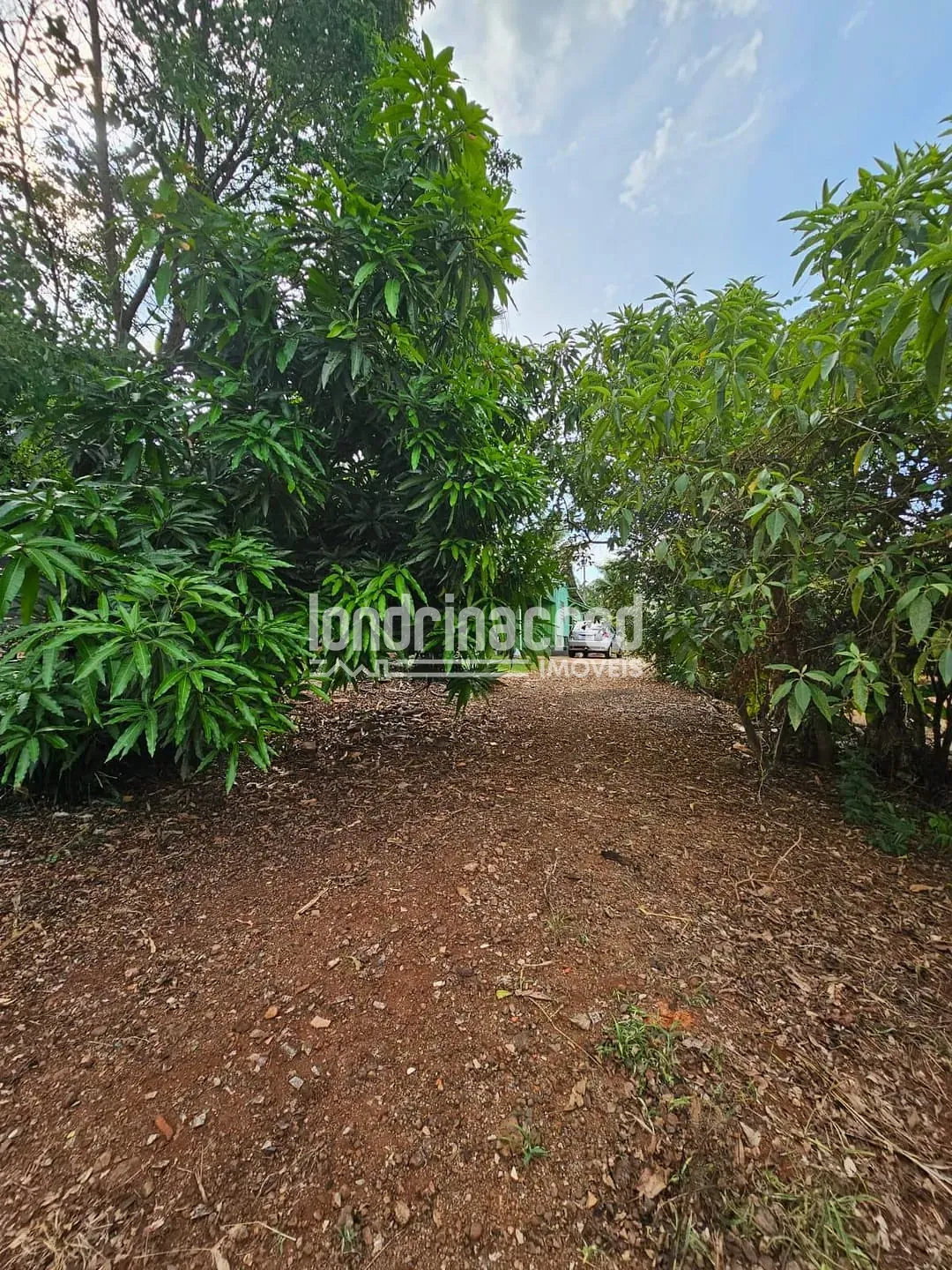 Sítio, 1 quarto, 10000 m² - Foto 35