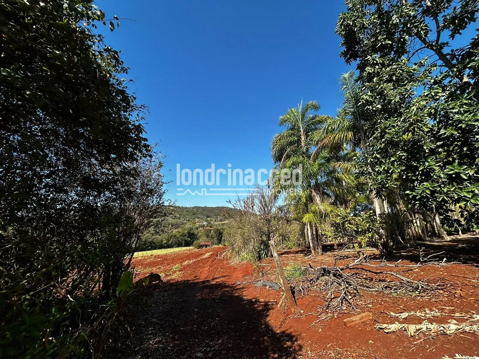 Sítio, 1 quarto, 10000 m² - Foto 5