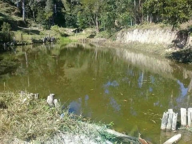 Chácara 4 quartos e 5 banheiros, à venda, no bairro Zona Rural em Natividade Da Serra