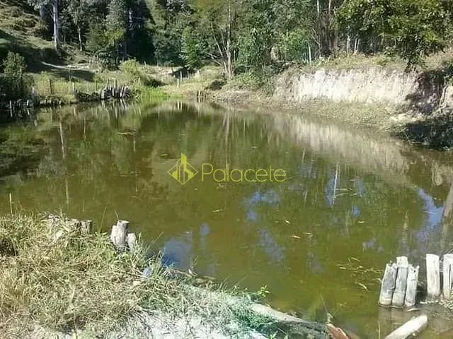 Chácara 4 quartos e 5 banheiros, à venda, no bairro Zona Rural em Natividade Da Serra