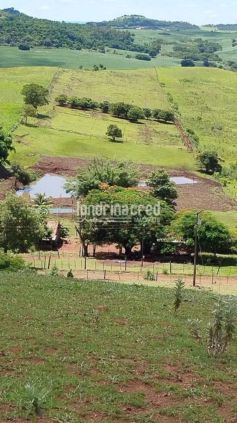 Sítio, 1 quarto, 12 hectares - Foto 2