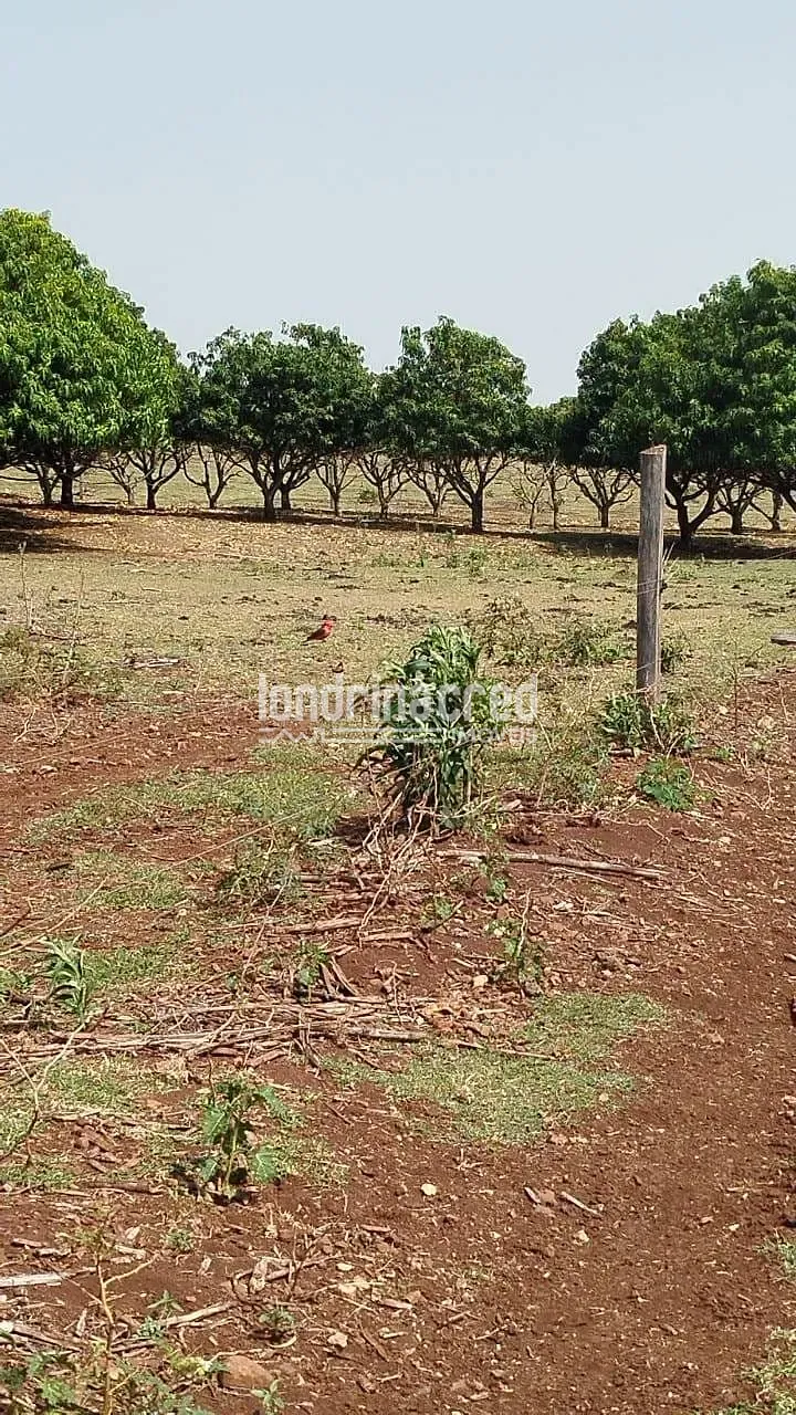 Sítio, 1 quarto, 12 hectares - Foto 3