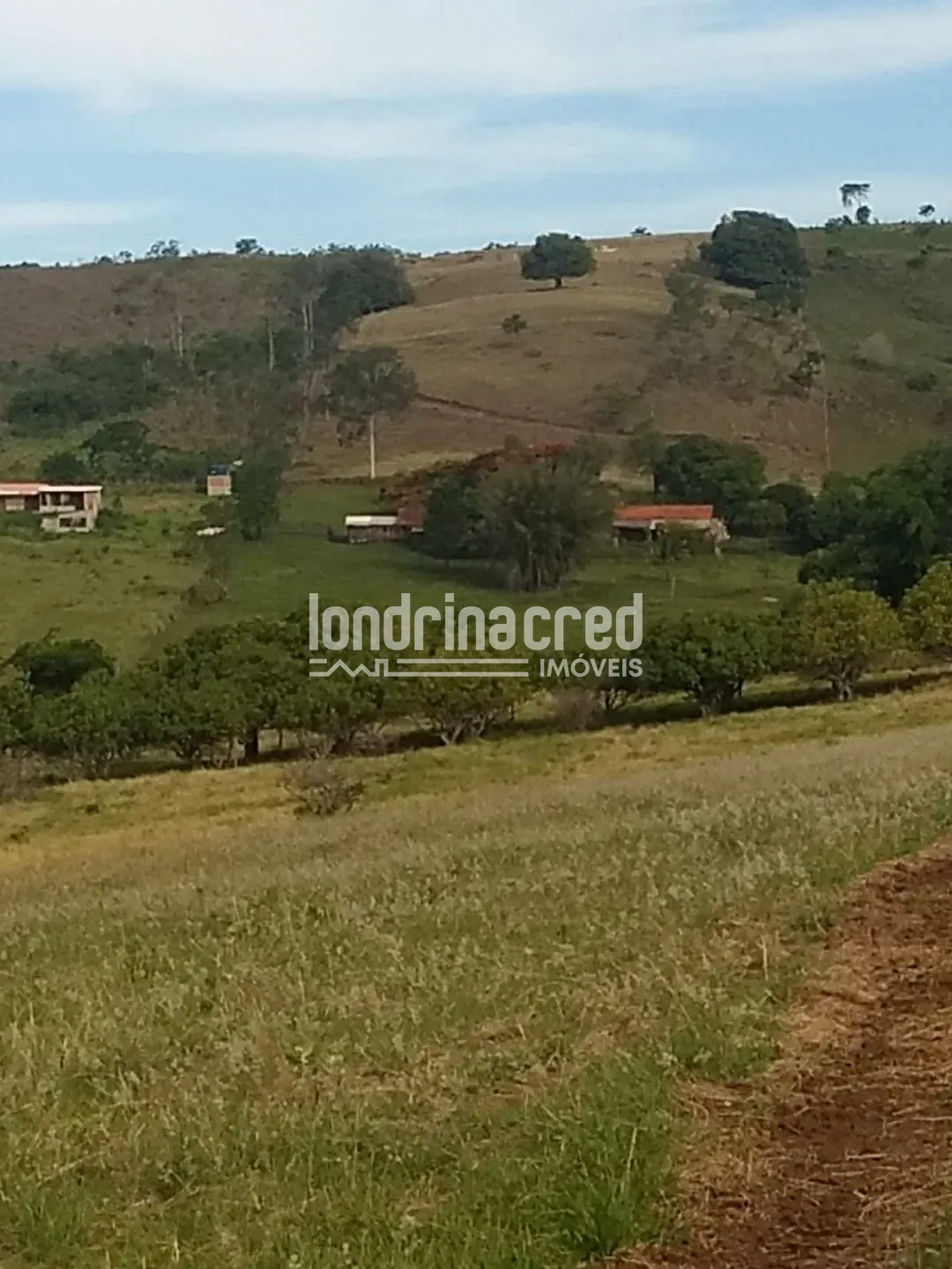 Sítio, 1 quarto, 12 hectares - Foto 8