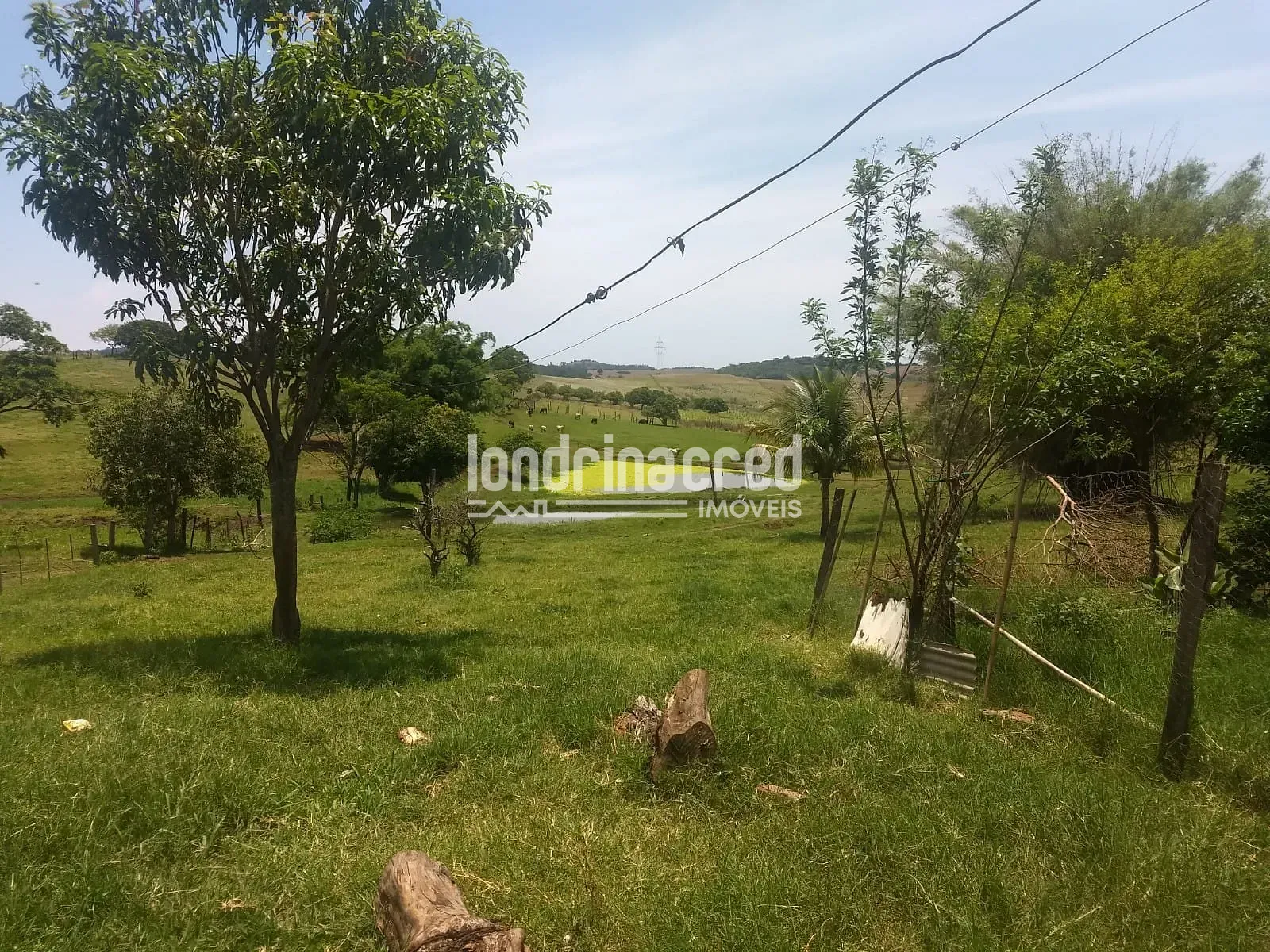 Sítio, 1 quarto, 12 hectares - Foto 11
