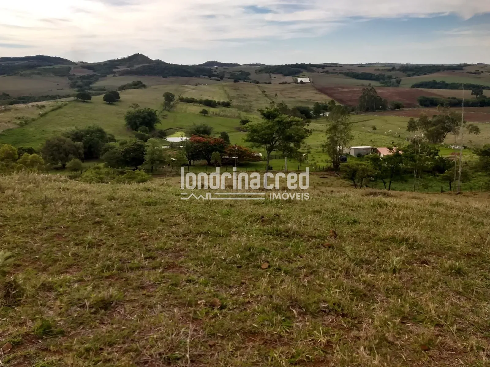 Sítio, 1 quarto, 12 hectares - Foto 12