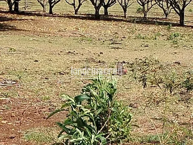Chácara com 121000m², à venda, no bairro Rural em Uraí