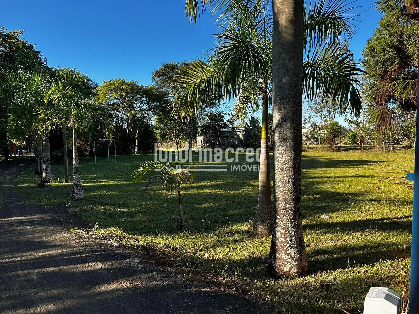 Sítio, 3 quartos, 5000 m² - Foto 5