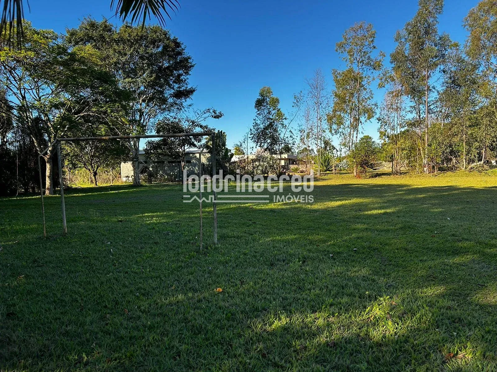 Sítio, 3 quartos, 5000 m² - Foto 3