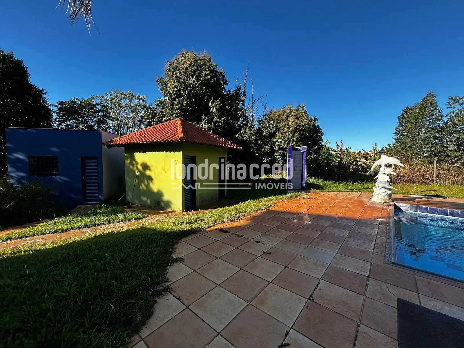 Sítio, 3 quartos, 5000 m² - Foto 11