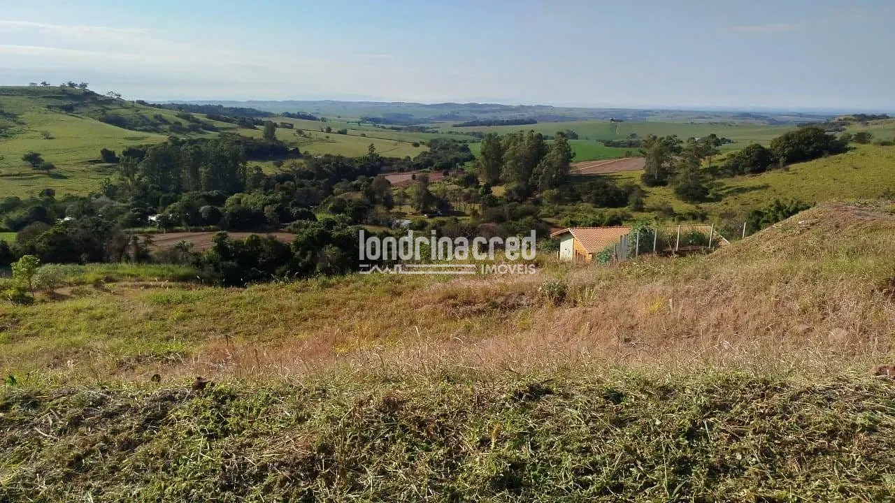 Sítio, 1 quarto, 5890 m² - Foto 14