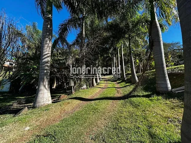 Chácara com 15200m² 5 quartos e 2 banheiros, à venda, no bairro Fazenda Nata em Londrina