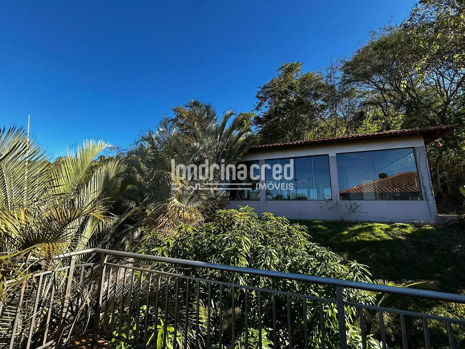 Sítio, 5 quartos, 2 hectares - Foto 45