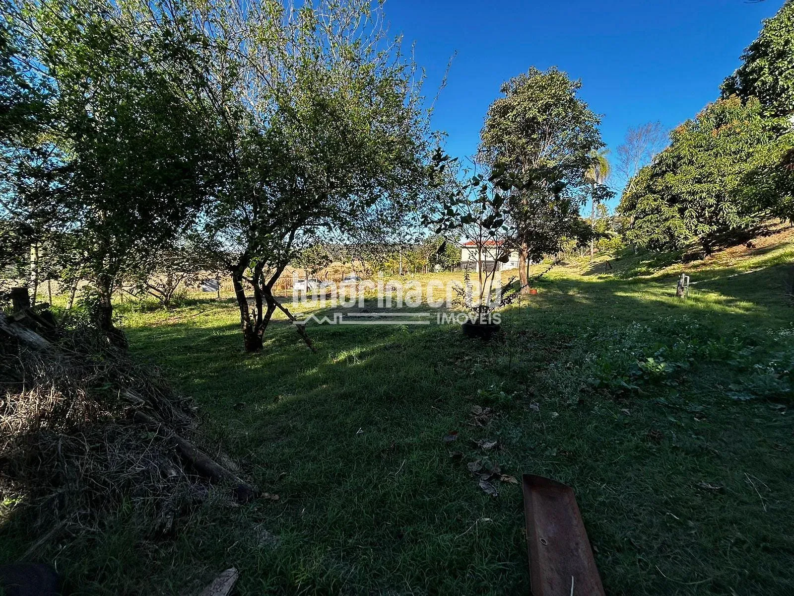 Sítio, 5 quartos, 2 hectares - Foto 46