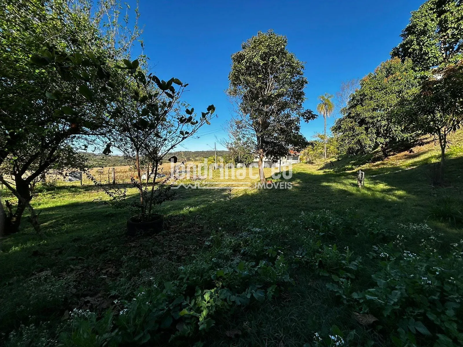 Sítio, 5 quartos, 2 hectares - Foto 47