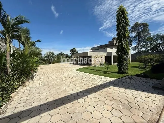 Sítio, 4 quartos, 3000 m² - Foto 2