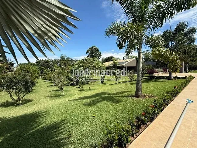 Sítio, 4 quartos, 3000 m² - Foto 5