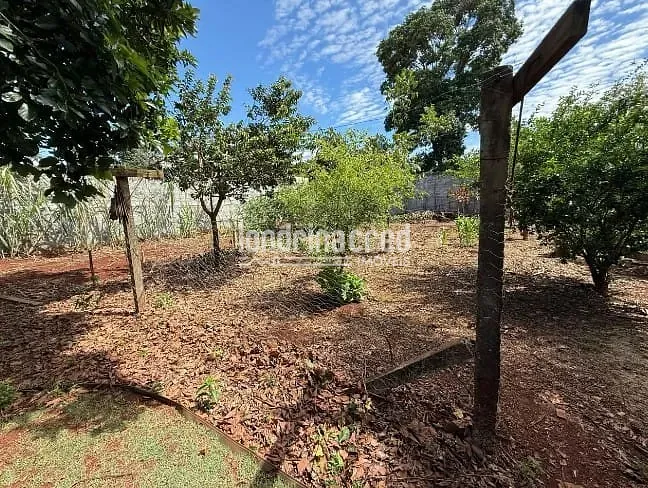 Sítio, 4 quartos, 3000 m² - Foto 20