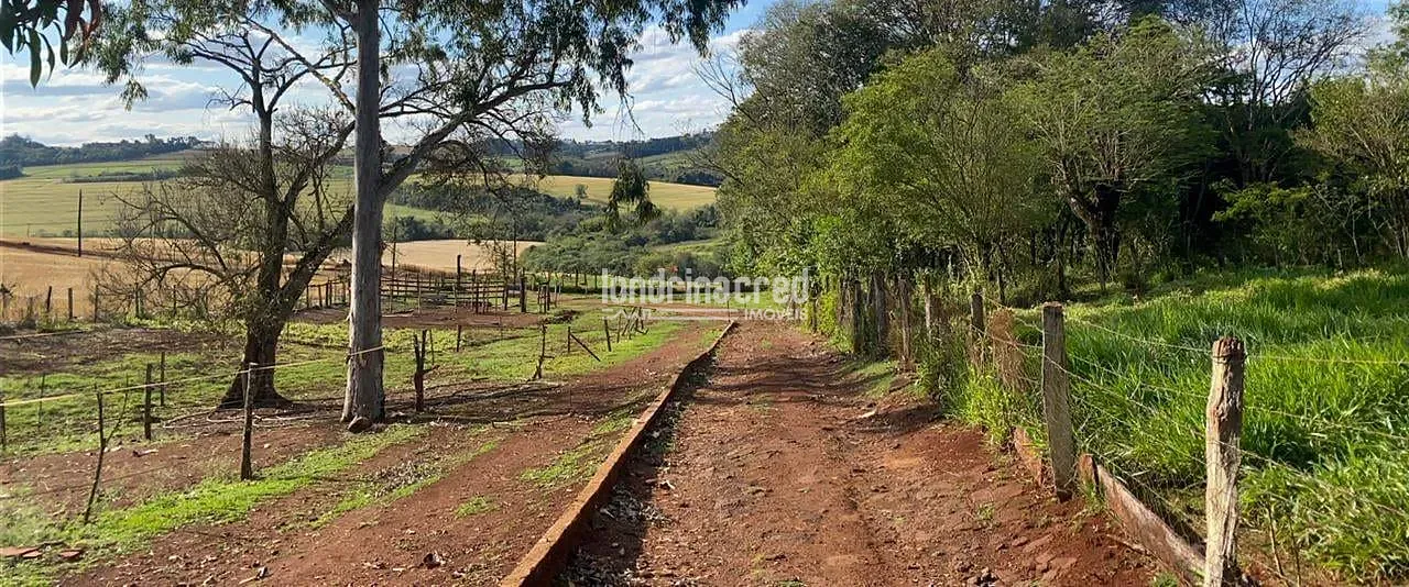 Sítio, 2 quartos, 3 hectares - Foto 6