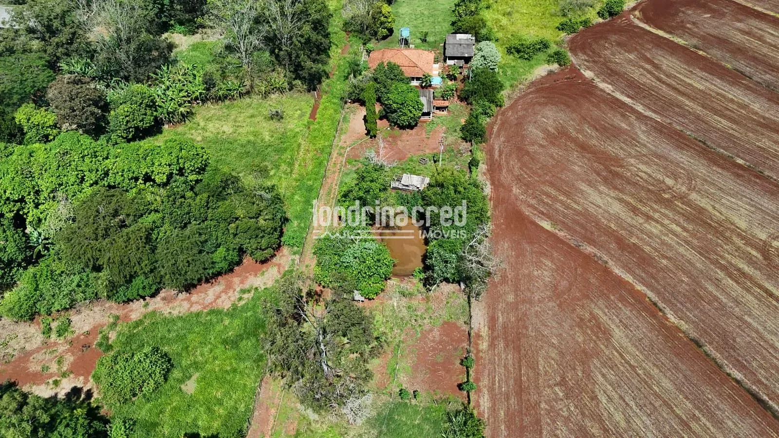 Sítio, 2 quartos, 3 hectares - Foto 14